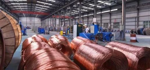 灃西新城兩家電線企業(yè)榮膺2023年民營經(jīng)濟(jì)轉(zhuǎn)型升級示范