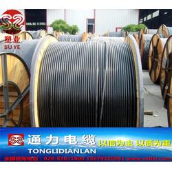 陜西電纜廠的黑皮架空線與略陽縣電子設備及零配件的協(xié)同發(fā)展